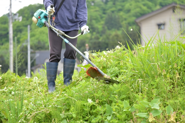 横須賀市で草刈りに最適な年3回の時期～楽に草刈りを終えるコツまで徹底解説