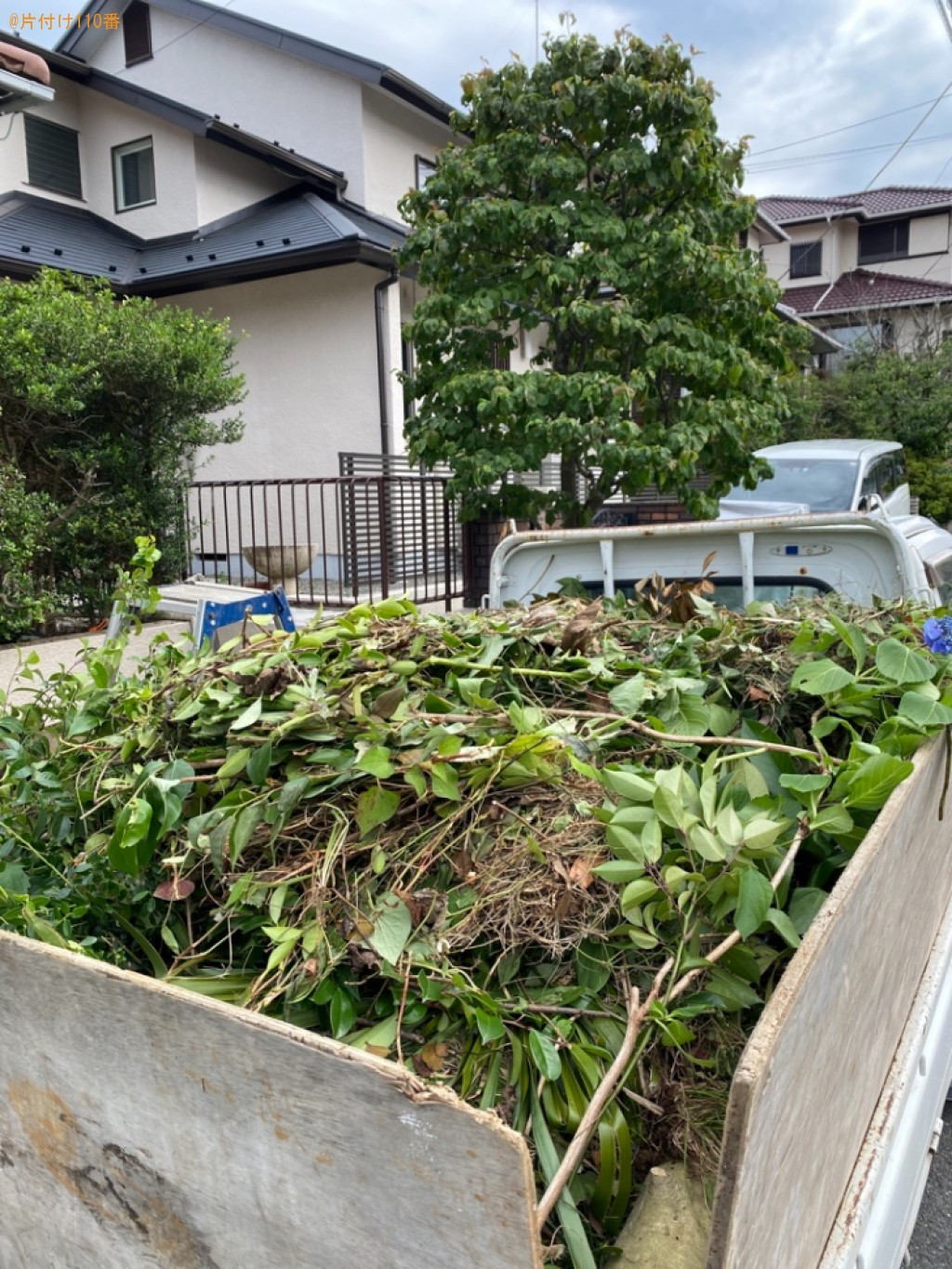 【横浜市港南区】草刈り、木の剪定作業ご依頼 お客様の声